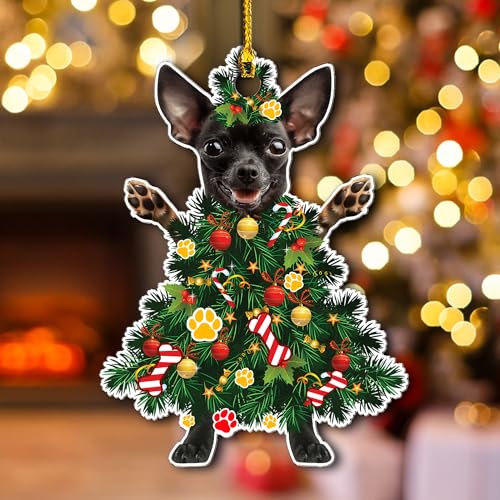 Mascotas, Imagen adicional
