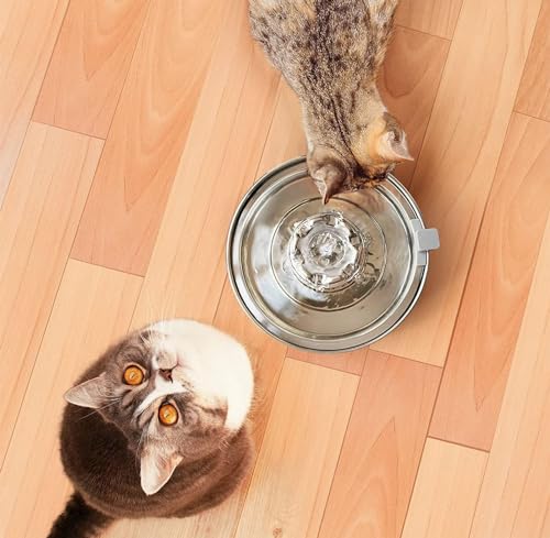 Fuente de Agua Automática para Gatos de Acero Inoxidable 2L miniatura 7