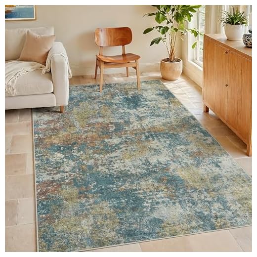 Area Rug Living Room Rugs: 3x5 Indoor Soft Fluffy Rug Abstract Carpet for Bedroom Kitchen Dining Room Floor Washable Plush Throw Small Accent Rug Home Office Nursery Decor - Multi