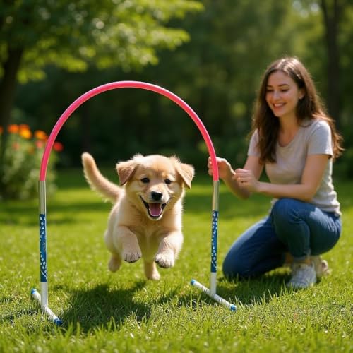 6 x Hoopers Agility Hoops - NADAC Hoopers Agility Hoops (Großpackung) ALU Hoops (ohne Mittelstrebe) (Pink)