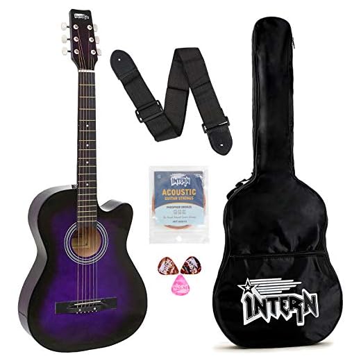 Intern INT-38C Acoustic Guitar Kit, Purple