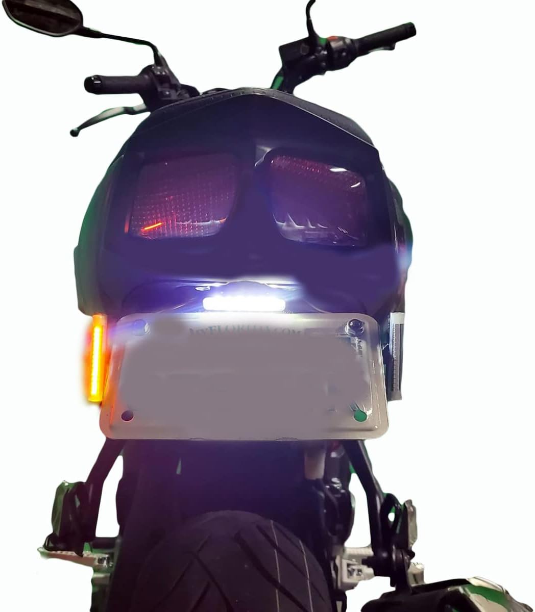2017-2023 Suzuki SV650 STD fender eliminator with turn signals (No Turn Signals) (SV1720650STD)