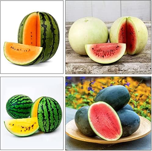 40 Mixed Colors Watermelon Seeds for Planting Fresh Fruit Seeds for Planting