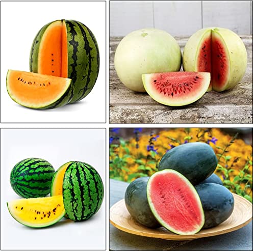 40 Mixed Colors Watermelon Seeds For Planting Fresh Fruit Seeds For Planting #TOP3