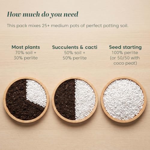 Image of Kyari Perlite 250g for Plants Horticulture soil for Drainage & Aeration
