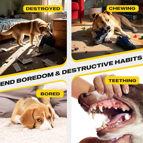 Image of Fida Heavy Duty Dog Rope Toys for Medium Large Dogs, Chew Tug Toys, 4 Pack