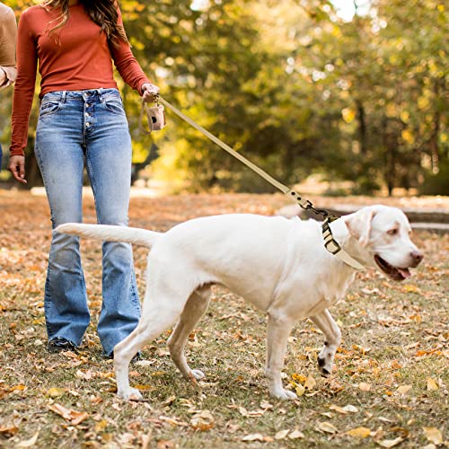 Wisedog Hundehalsband und Leine Set Combo: Einstellbare langlebige Haustier Halsbänder mit Hundeleinen für kleine mittlere große Hunde, enthält einen Bonus von Poop Bag Holder (S, Beige)