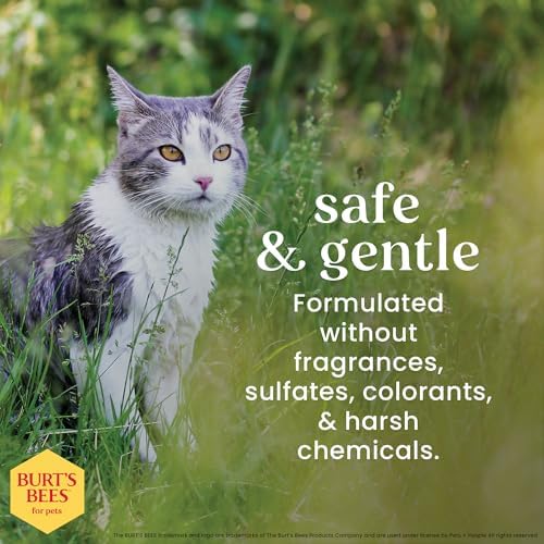 Burt's Bees for Pets for Cats Waterless Shampoo with Apple & Honey, Cats (FF7297) 3