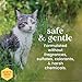 Burt's Bees for Pets Dander Reducing Cat Spray with Colloidal Oat Flour and Honey - Cat Dander Remover Gives Dry Skin Relief for Cats, Essential Kitten Supplies for Allergy Relief, 10 Fl Oz