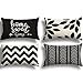 ZWJD Housse Coussin 30x50 Lot de 4 Décoratif Canapé Taie d'oreiller Decoration Canapé Housses Coussin en Lin d'extérieur Taie Oreiller Décoration pour Chambre, canapé, Chaise, Lit,Jardin 30x50cm