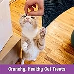 Wellness Kittles Crunchy Natural Grain-Free Cat Treats, Chicken & Cranberry, 2-Ounce Bag - Image 5