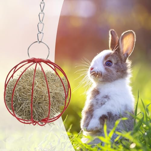 2pcs Rabbits Hay Feeder | Rabbits Hay Ball | Hanging Feeder for Treats and Chewing Metal Guinea Pig | Grass Ball for Hamsters Guinea Pig Small Animal Pet - Image 3