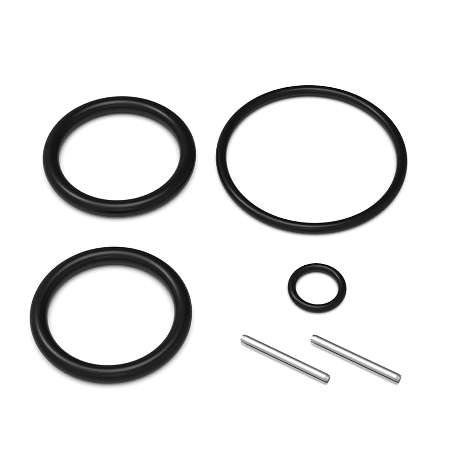 Amazon.com: Pool Slide Valve O-Ring Kit 263054 Compatible