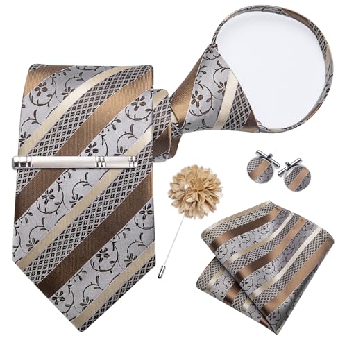 Image of DiBanGu Silk Zipper Ties for Men, Formal Pre-tied Necktie | Adjustable Tie,6PCS,Various Design Styles,Jacquard Woven,Skin-friendly,Practical Gift,Great for Wedding Party,Business Formal