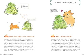 うさぎ好き プロフィール確認お願いします様 51cDShd2i1L._AC_UF350,