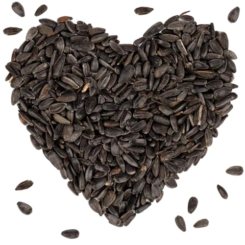 Lyra Pet® 25 kg Sonnenblumenkerne schwarz Ernte 2022 Winterfutter Gartenvögel Ganzjahresfutter Kerne Futter hoher Ölgehalt Wildvögel Vogelfutter Streufutter Vögel Körner