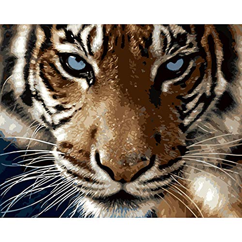 Peinture par numéros tigre de kenyoo kit complet avec toile encadrée pour adulte et débutant