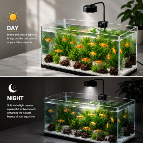 Image of VAYINATO WH-570 Aquarium LED Clip Light 8W | White LED Aquarium Lamp for Fish Tanks Upto 2 Feet | AC 220V Energy Efficient Lighting | Easy Clip-On Design for Nano Tanks Aquariums