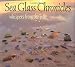 Sea Glass Chronicles