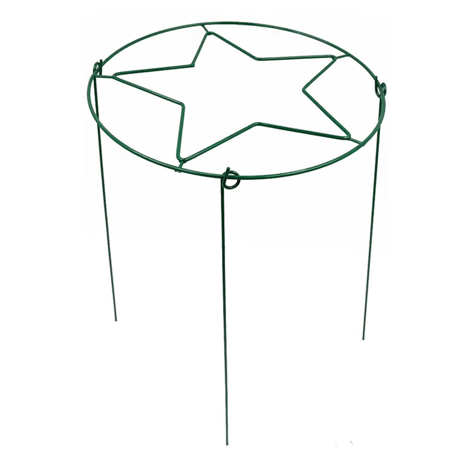 Tuteurs et Supports pour Pivoines 4 Pièces Métal Robuste Réutilisable