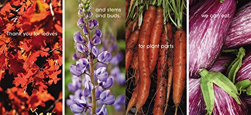 Thank You, Earth: A Love Letter To Our Planet: A Springtime Book For Kids #TOP3
