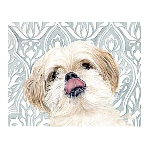 Måla Efter Nummer _ Shih Tzu Lhasa Apso Hunddjur _ Diy Digital Kanvas _ Oljemålning Gåva För Barn, Studenter, Vuxna Nybörjare _ 40X50Cm _