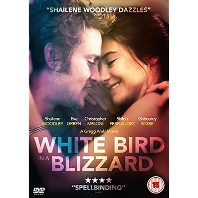 White Bird In A Blizzard
