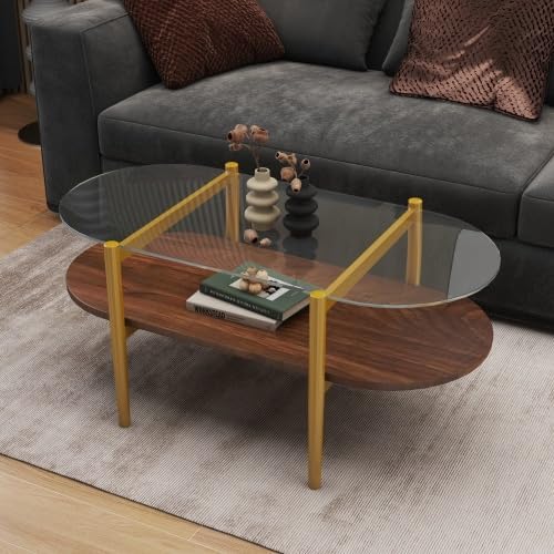 Donext Glass Top Coffee Table with MDF Shelf and Tapered Legs, Modern Dual-Tier Living Room Table, Tempered Rectangle Center Tables with Rounded Edges and Matte Alloy Frame(Brown)