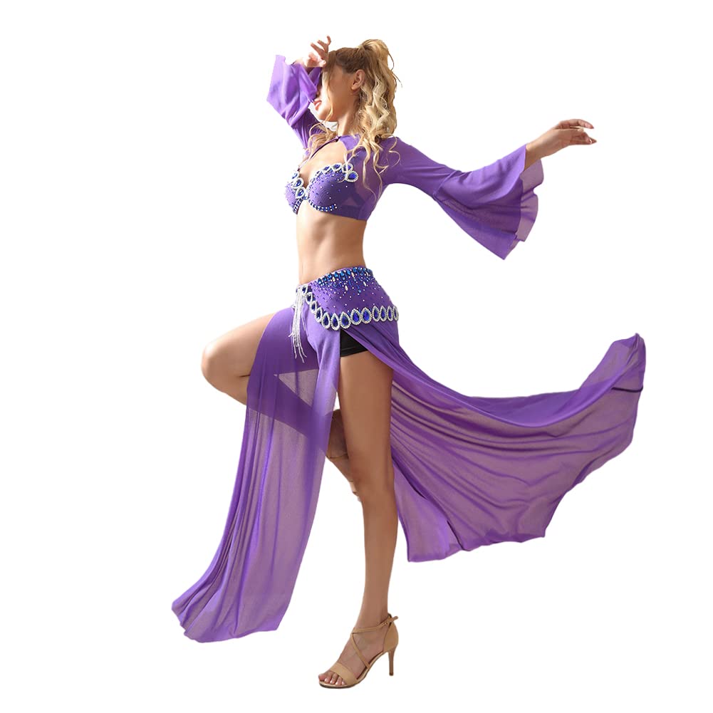 新品未使用　bellydance costume 衣装 Amazon.com: Aladdin Jasmine Costume Belly Dancer Costumes for
