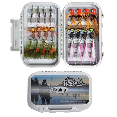BRAIRIA 28-Piece Stillwater Fly Fishing Flies Set for Trout & Bass – 7 Realistic Patterns inc. Foam Beetle, Woolly Bugger, Damselfly, Popper – UV Coated, 3D Eyes, Ready for Lake & Pond