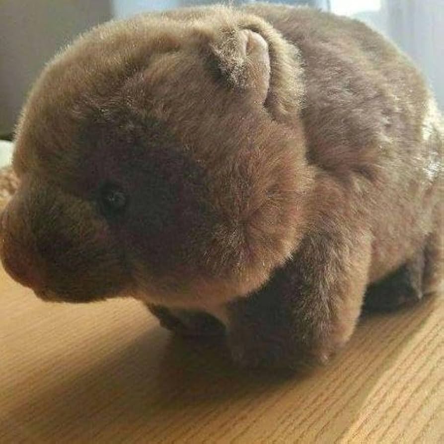 五月山動物園 ウォンバット ぬいぐるみ タグ付き 五月山動物園 ウォンバット ぬいぐるみ タグ付き - メルカリ