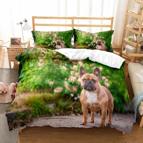 BJCJGGL zcZbg _u 3_Zbg t`uhbO tQ |GXe ʋC R hL h_j zcJo[ 190x210 cm + 2 Jo[ 43x63 cm