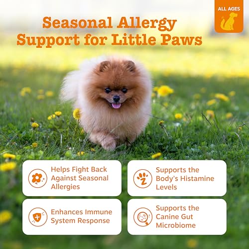 Image of Zesty Paws Allergy Immune Bites - Dog Allergy Chews, Dog Probiotics for Itchy Skin and Ears, Lamb, Mini, 90ct (Pack of 3)