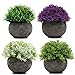 Produktbild Bunte Mini Kunstpflanzen (4 Stk) - Künstliche Pflanze im Blumentopf 12x8,5cm Künstliche Pflanzen Topiari mit Topf - Kleine Haus Deko Pflanzen - Wohnzimmer Deko, Bad Deko, Kunstblumen, Fensterbank