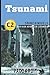 Spanish Novels: Tsunami (Spanish Novels for High Advanced Learners - C2) (Spanish Novels Series) (Spanish Edition)