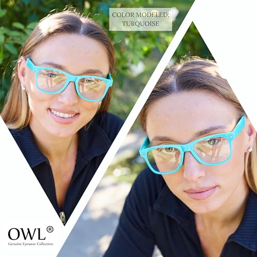 Image of OWL Retro Style Sunglasses 80's Classic Vintage Unisex Nerd Colored Frame