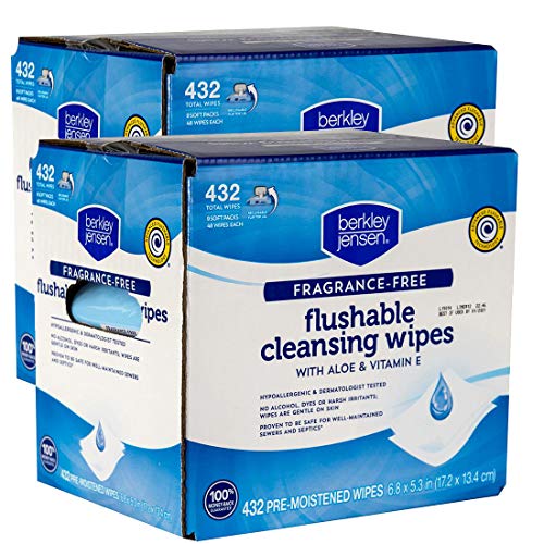 Top 10 Best Berkley And Jensen Wipes [Top Picks 2023 Reviews]