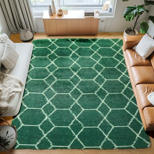 ONASAR Geometric Area Rug