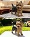 Imagen de WANLIAN Yorkshire Terrier decoración Interior Estatua Exterior Estatua Perro Estatua Sala de Estar Muebles para el hogar decoración de jardín al Aire Libre