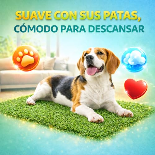 Consejos para Comprar Pasto artificial Top 10. 24 Imagen adicional