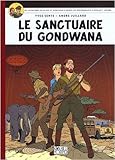  SANCTUAIRE DE GONDWANA (LE) T18 - TOILE - ED PETIT FORMAT: Album petit format