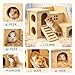 Tiny Hamster Maze Wood House Fun Slide House Double-Decker Hut for Dwarf Gerbil Mouse Mice Rat Small Animals(Only for Small Hamster)