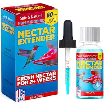 homemade hummingbird feeder nectar