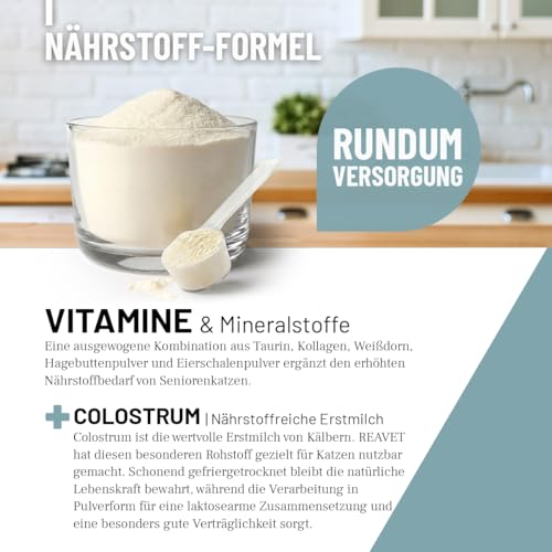 ReaVET Senior Complete Pulver für ältere Katzen – zur Unterstützung der Herzfunktion, Vitalität & Beweglichkeit I Ergänzungsfuttermittel für Seniorenkatzen – mit Taurin, Kollagen & Colostrum 50g