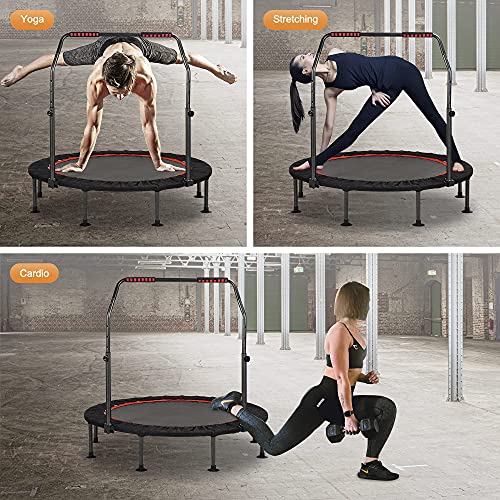 KENSONE 48" Foldable Spring Mini Trampoline for Kids and Adults, Indoor/Outdoor Fitness Rebounder with Adjustable Foam Handle, Max Load 450 lbs by FREEDARE - Image 6