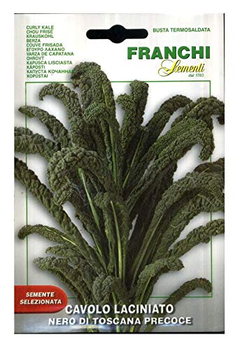 SEMENTI DI ORTAGGI DI QUALITA' PER USO HOBBYSTICO IN BUSTINA TERMOSALDATA (CAVOLO LACINIATO NERO DI TOSCANA)