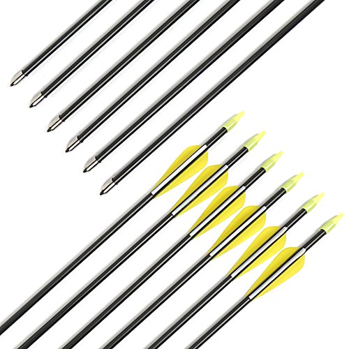 Chuangtong Fiberglass Arrows Archery 30 Inch Target Shooting Practice Arrows Recurve Bows Suitable for Children Woman Beginner