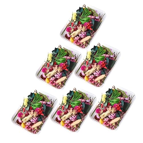 Kit DIY Flores Secas para Manualidades y Decoración miniatura 1