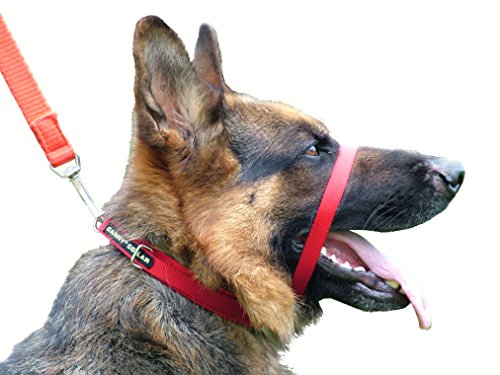 Canny Collar: Collar de Perro Entrenamiento y Collar Antitirones para Perros Grandes o Pequeños, ayuda simple y efectiva con el entrenamiento del perro y evita que los perros tiren de la correa (Rojo)