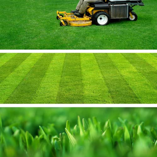 KADAX Rasensamen, 300-400 m², Grassamen, schnellwachsendes Gras, Rasenpellets, schnellkeimender Rasensamen, Rasensaat, Grassaat resistent gegen Frost, Rasen (10 kg) - Image 4